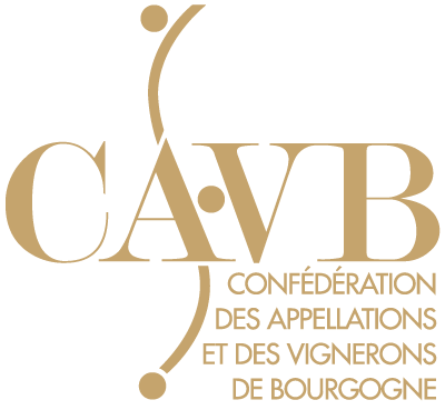 logo cavb
